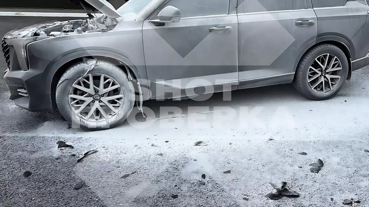     Источник: SHOT