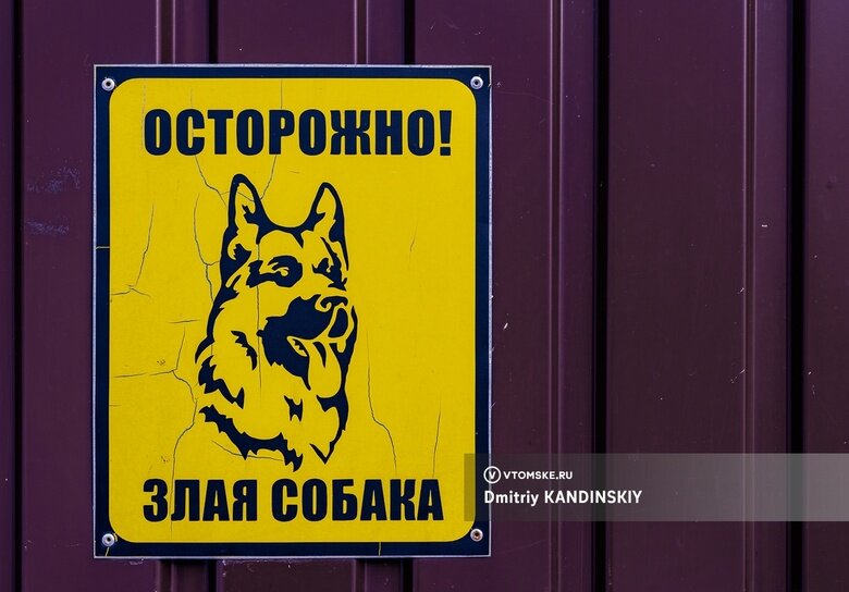    Фото: Дмитрий Кандинский / vtomske.ru