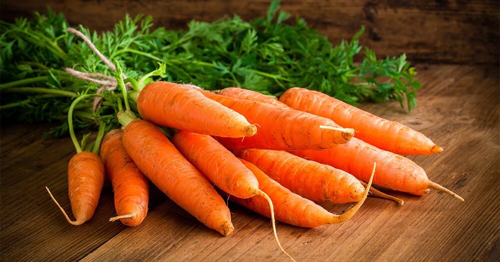  Морковь у нас выращивают повсеместно. Грамотно подобрав сорта, подготовив гряду и вовремя посеяв, можно надеяться на приличный урожай в любой климатической зоне.