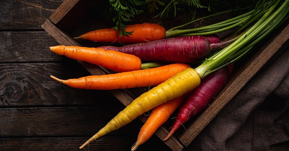  Морковь у нас выращивают повсеместно. Грамотно подобрав сорта, подготовив гряду и вовремя посеяв, можно надеяться на приличный урожай в любой климатической зоне.-2