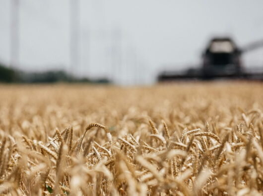    //фото: Сбербанк