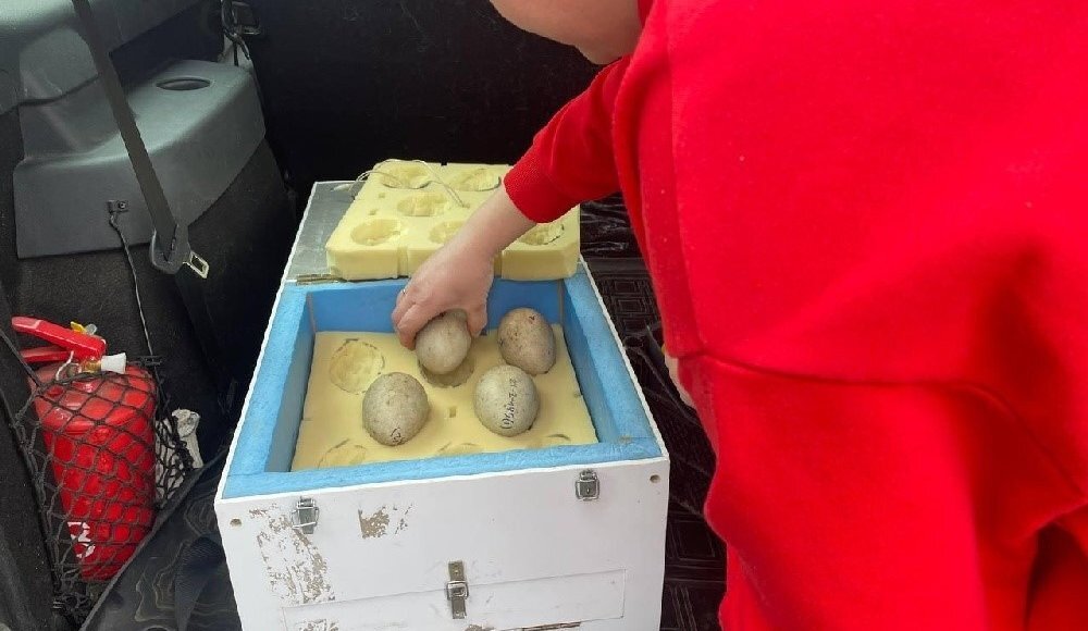    Фото: Зоопарк Удмуртии