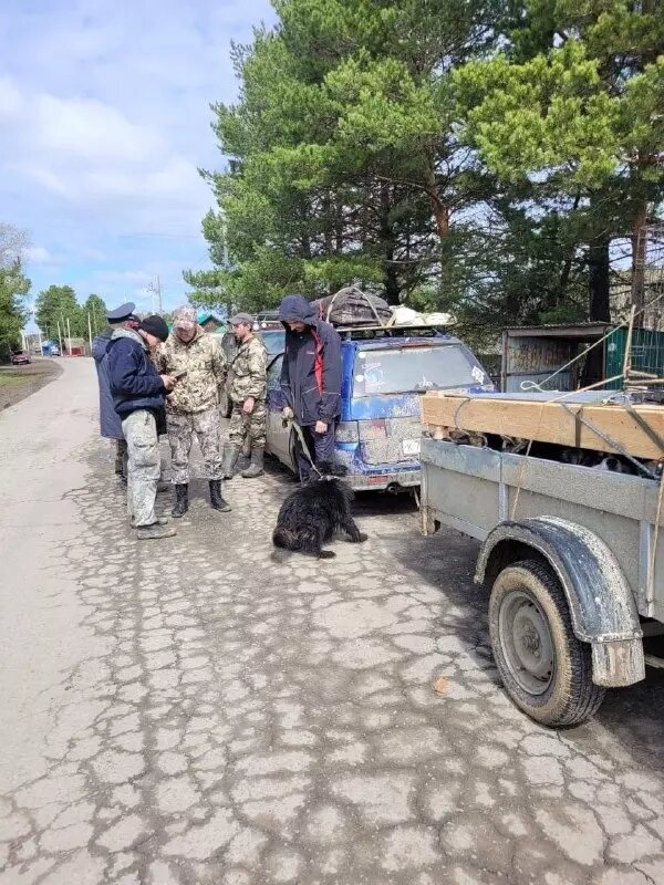     Источник: тг-канал "Усть-Ишим Паводок"