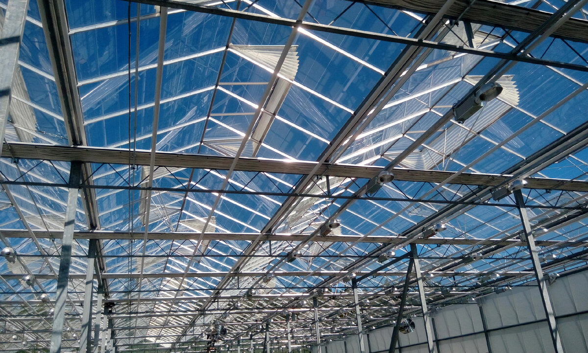 Форточки в промышленной теплице