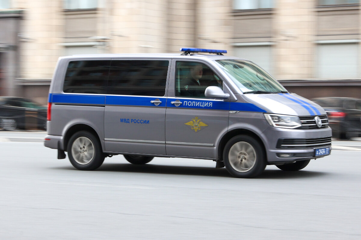 ФОТО: PETROV SERGEY/NEWS.RU