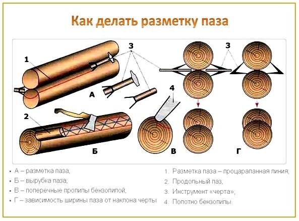 Сруб для бани. Из какого лучше леса строить - Зимнего или Летнего?