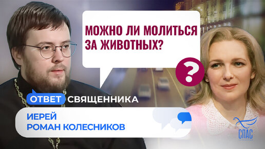 МОЖНО ЛИ МОЛИТЬСЯ ЗА ЖИВОТНЫХ?