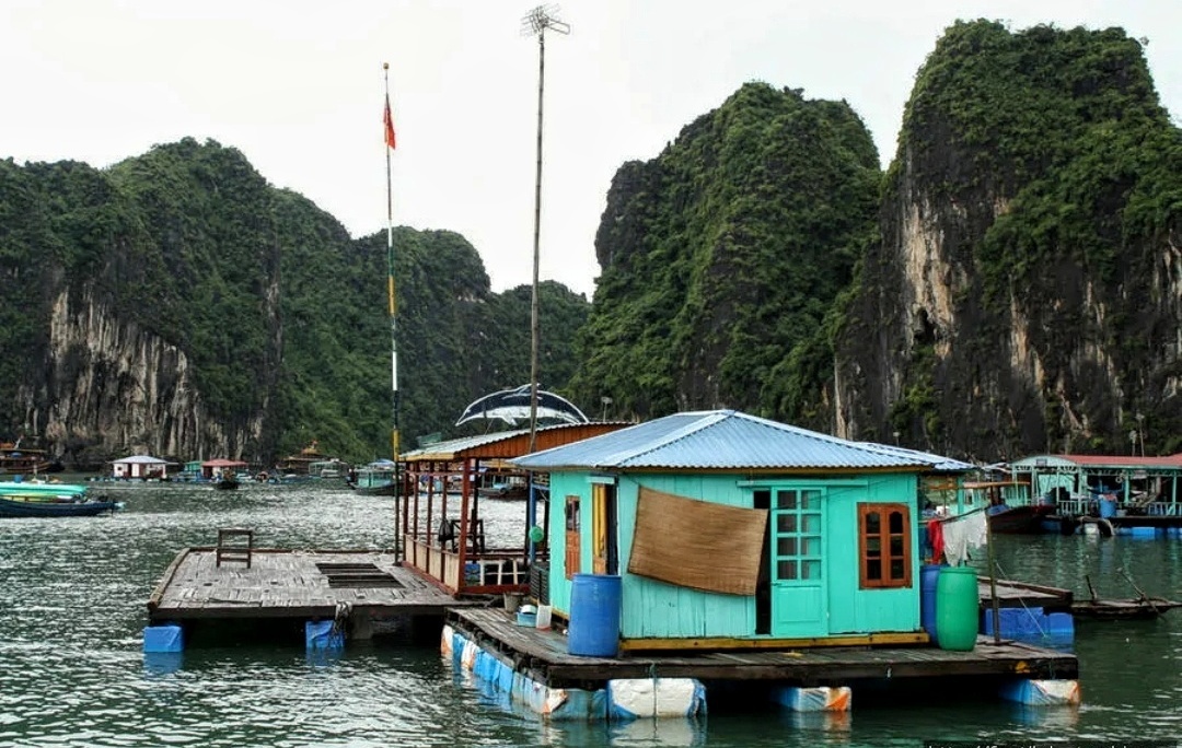 Фото взято из открытых источников