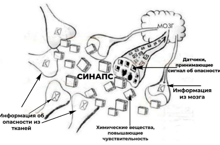 Антифосфолипидный синдром - причины, симптомы, признаки, диагностика, лечение