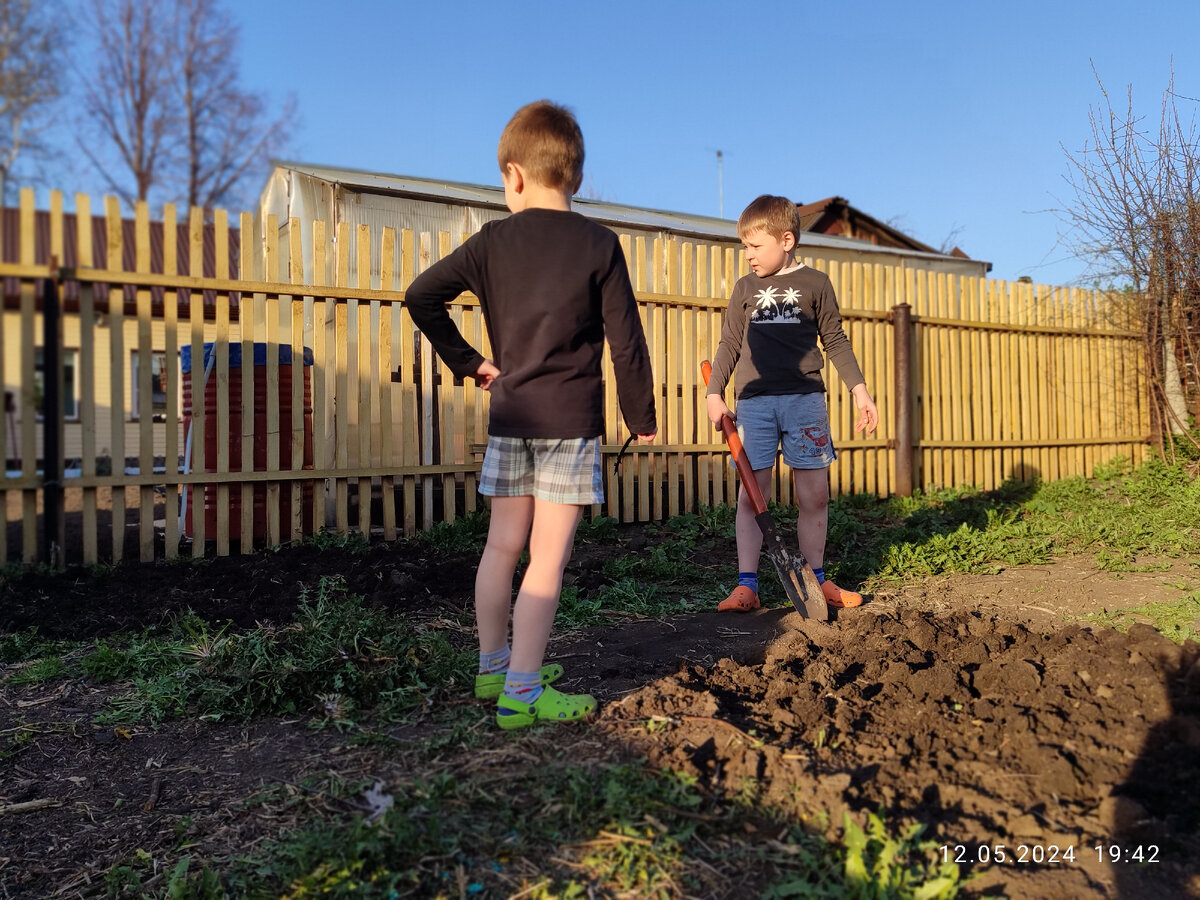 Нет, ну посмотрите, Паша даже стоит как настоящий огородник! Вот эти руки в стороны. У меня мама так на всегда стоит между грядок