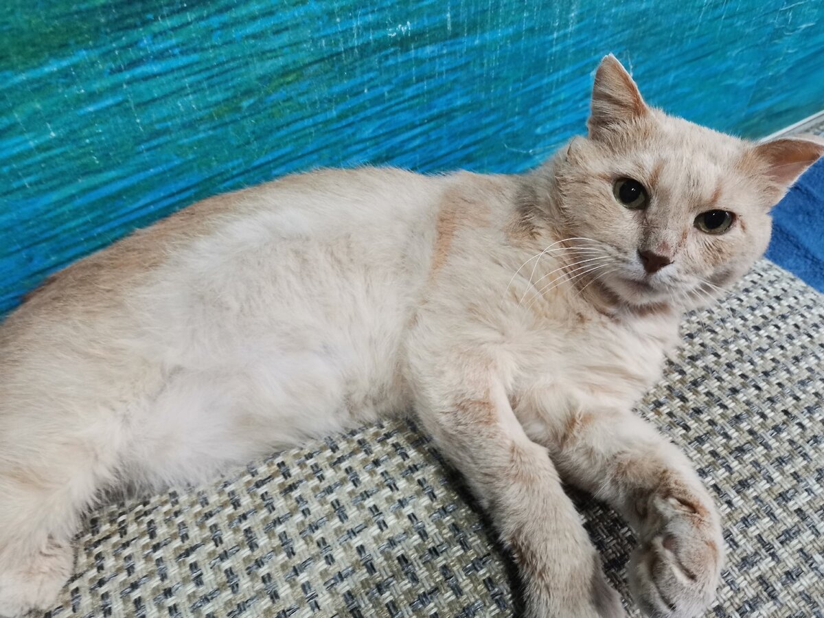 Верим и надеемся, что хороший уход и лечение даст желаемый результат