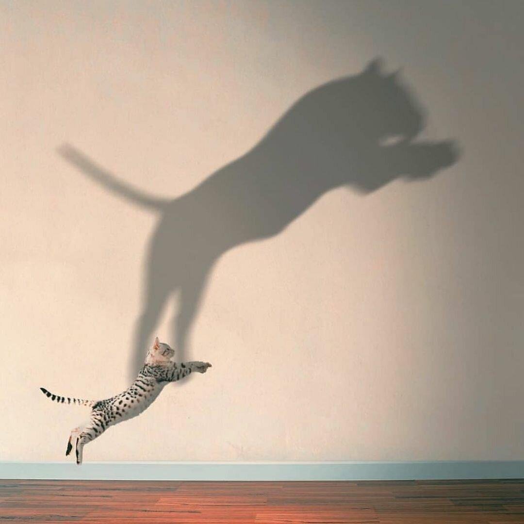 -2