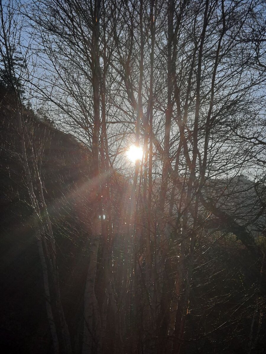 Фото автора.