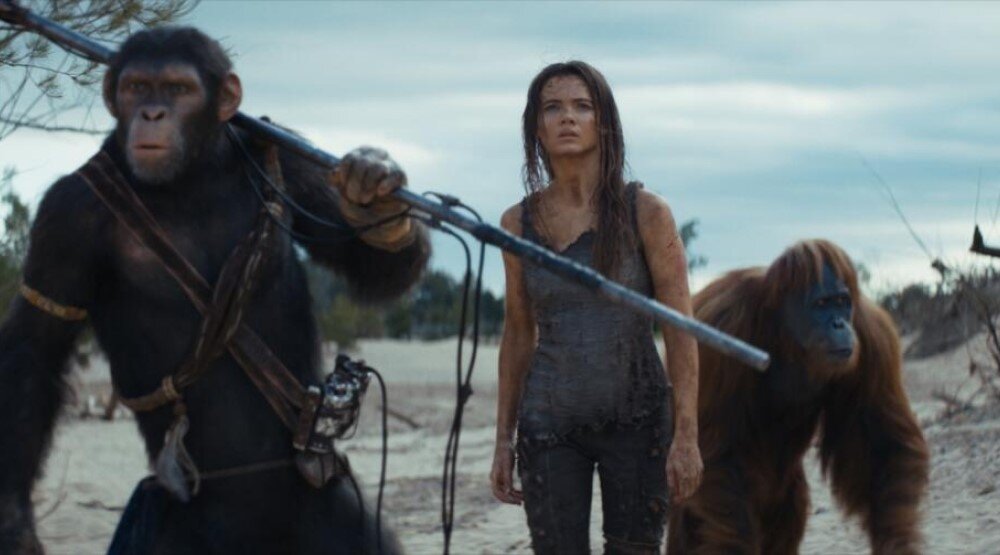     Кадр из фильма «Планета обезьян: Новое царство» (2024)