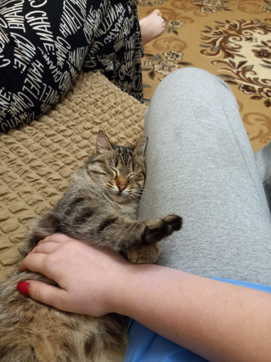 Симонетта