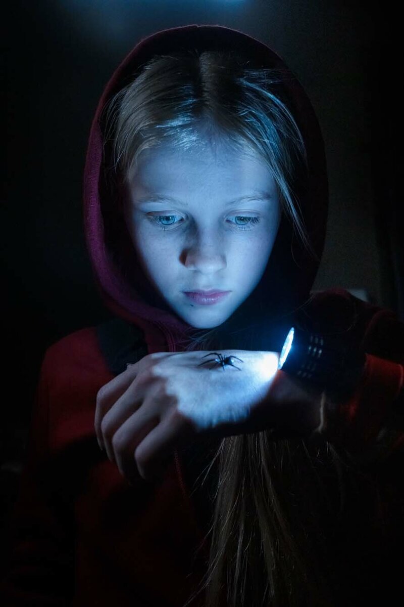 Шарлотта и паук, кадр из фильма. Источник: Источник: https://www.kinopoisk.ru/