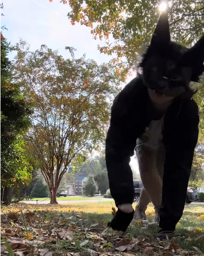 Фото: соцсети