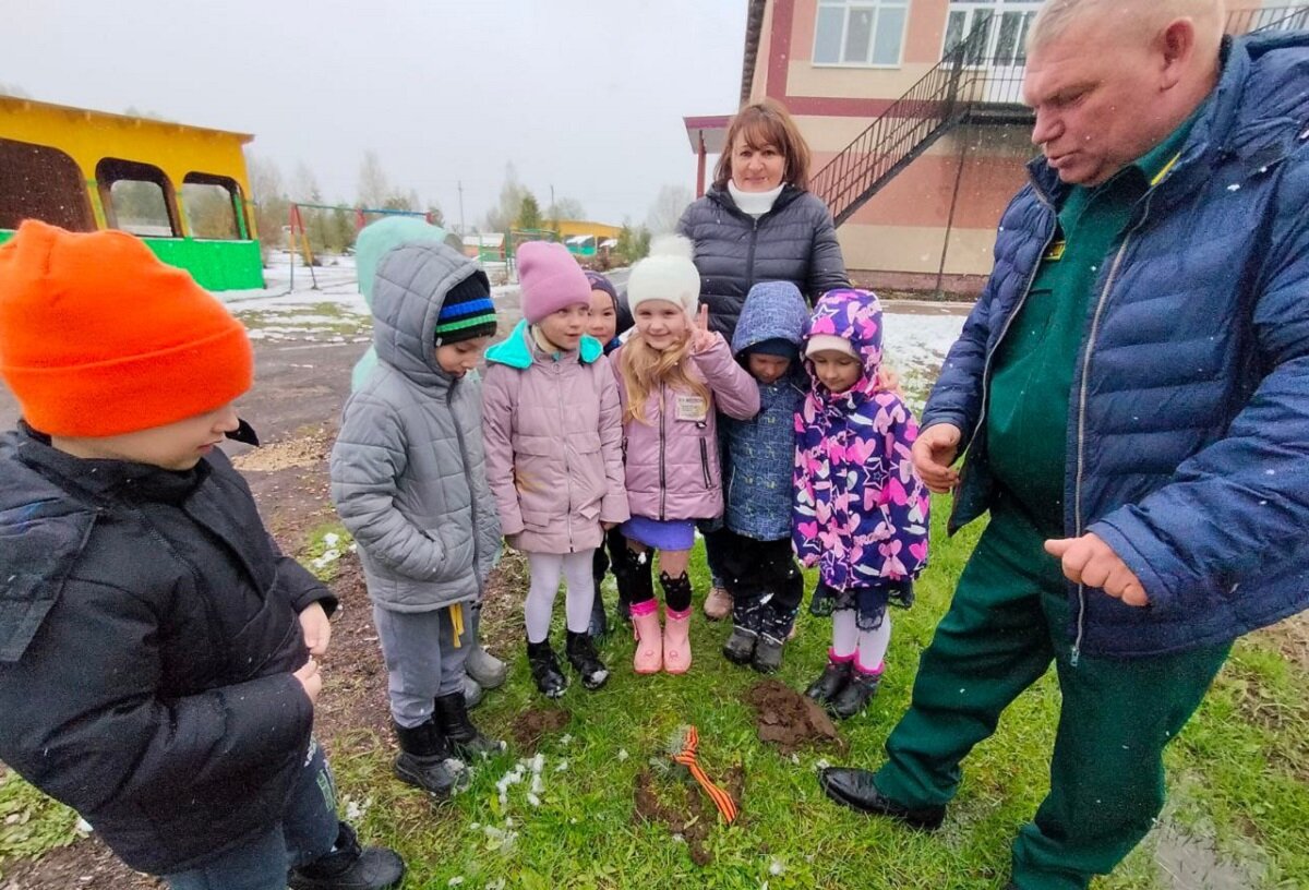 Лесной дозор: как школьные лесничества помогают беречь природу |  Нижегородская правда | Дзен