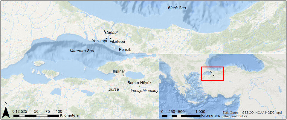   Hadi Özbal et al. / PLoS ONE, 2024