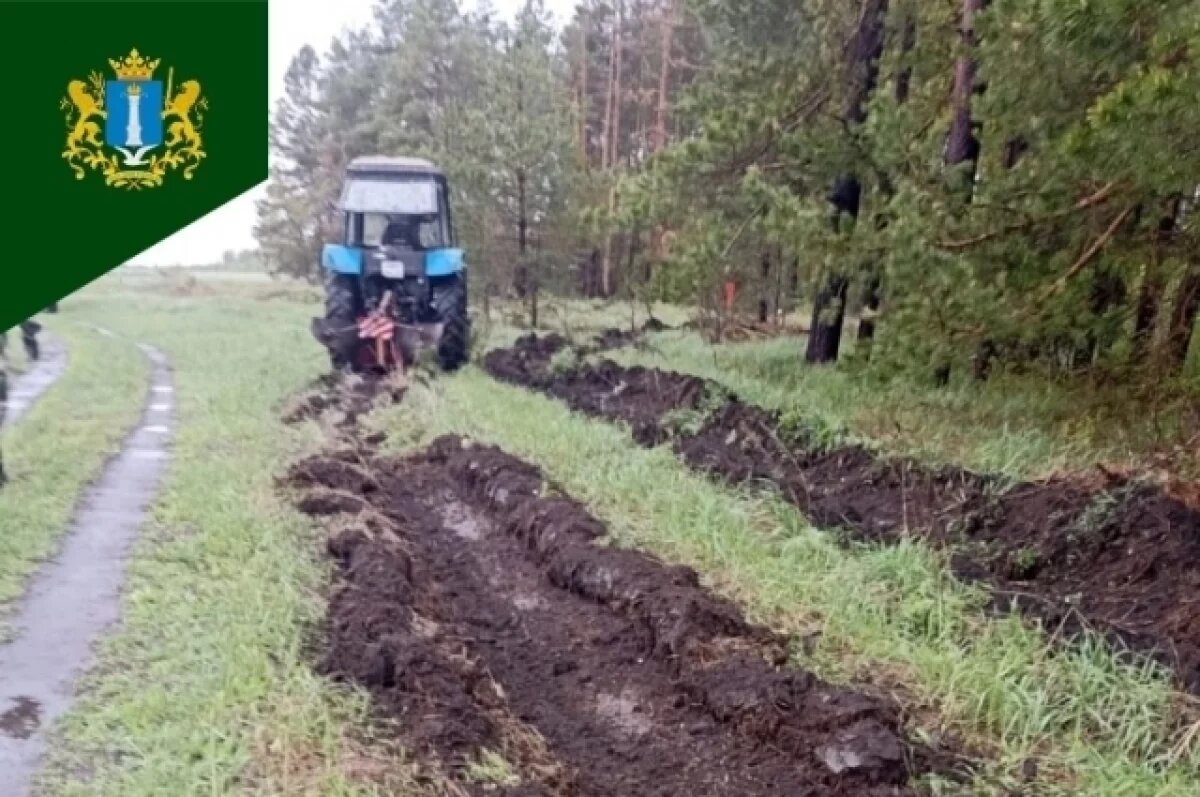    В лесах Ульяновской области обустроят более 2000 км минерализованных полос