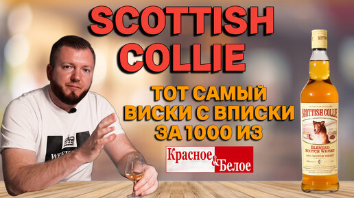Недорогой виски из КБ за 1000 рублей Scottish Collie | Можно покупать?