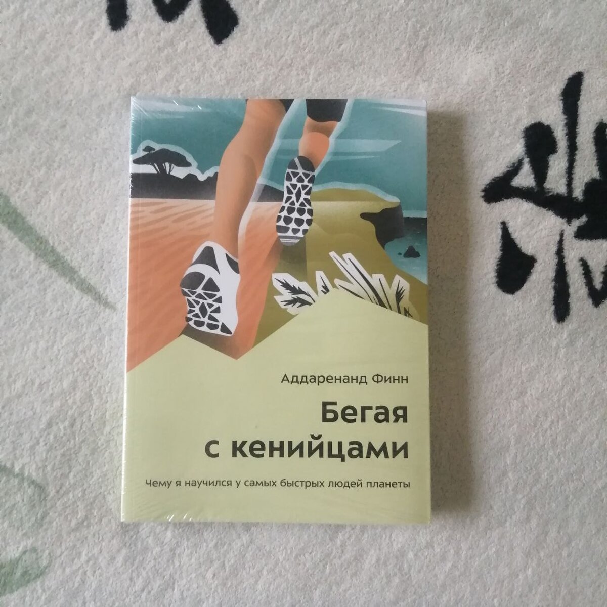 Книга Аддаренанда Финна. 