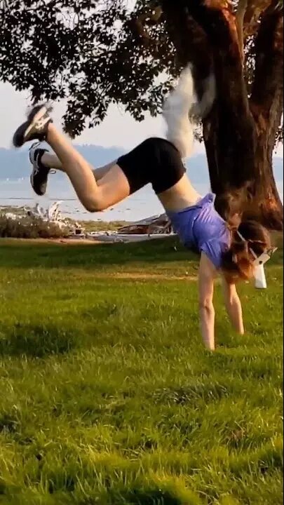     Автор: BRRNANA/therian.fandom.com/wiki