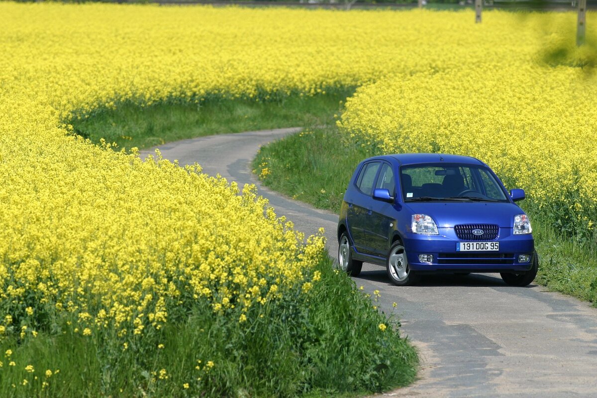    А в облике сити-кара Kia Picanto первого поколения читается наивная заинтересованность окружающим миром, как у новорожденных неокрепших домашних питомцев, с любопытством изучающих все в первый раз. На фотографии машина будто впервые увидела столько цветов и остановилась, чтобы услышать их аромат.