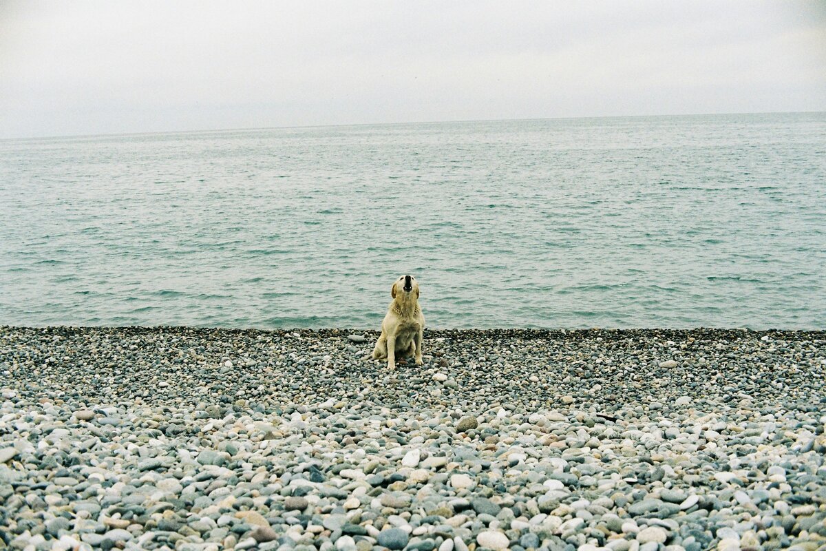 Фото с бесплатного фотостока https://unsplash.com, автор Aleksandr Artiushenko
