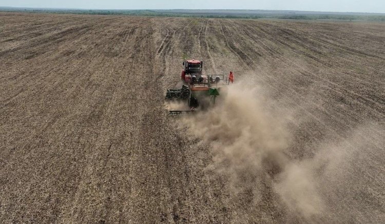    Самарская область после холодной паузы в весеннем севе нацелена на высокий урожай