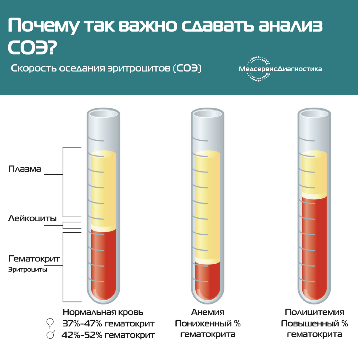 СОЭ анализ нормальные значения