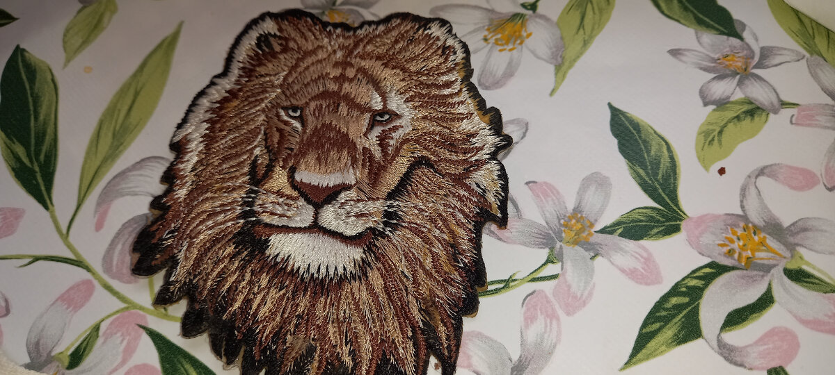 Вот такая львиная голова украшала чехол.