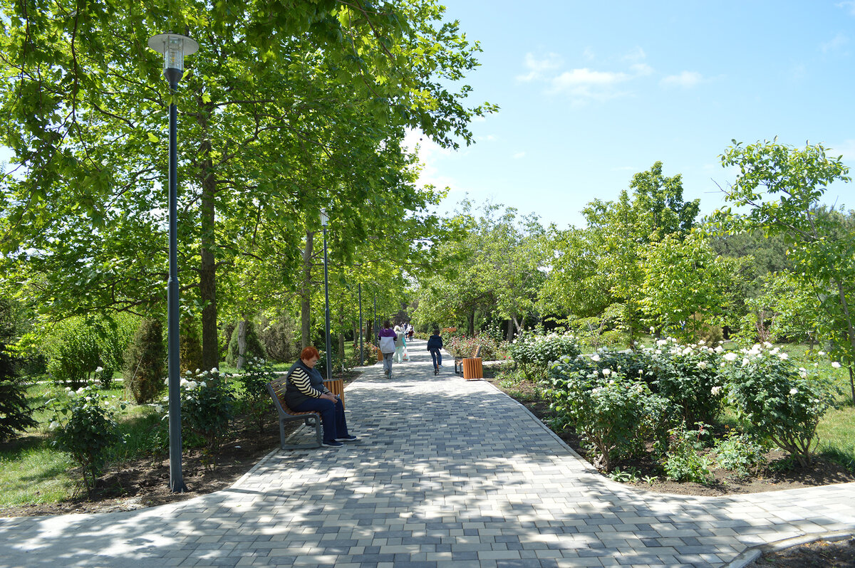 Анапа. Ореховая роща.2024