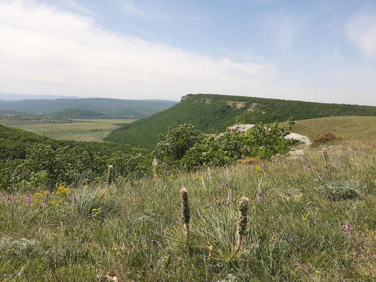 Открыли для себя новый горный маршрут в Крыму. Причем попали на экскурсию  совершенно бесплатно! | Белкины новости из Крыма | Дзен