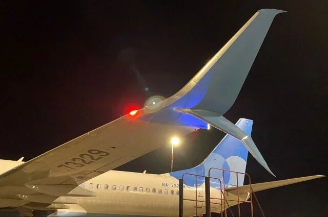    Как аэропорт Пулково в Петербурге планируют обезопасить от птиц?