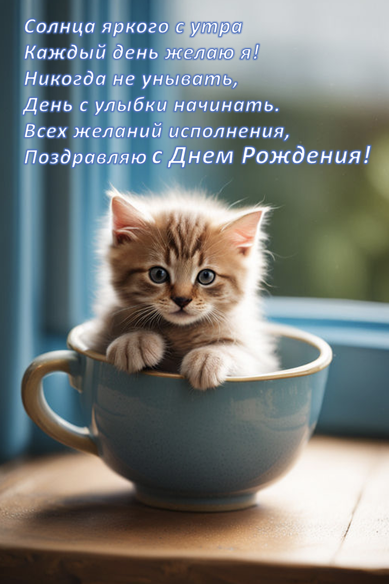 Открытка с котенком