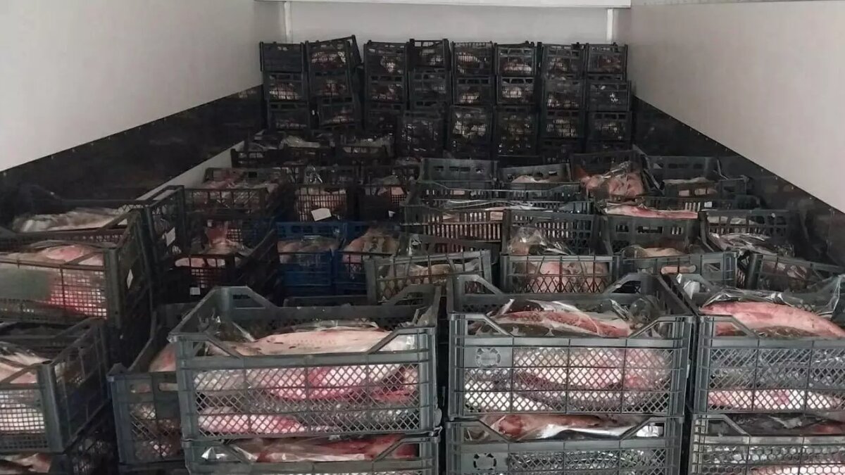     Автор: Пресс-служба УТ МВД России по СКФО