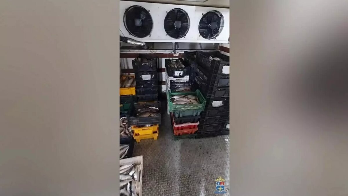     Автор: Пресс-служба УТ МВД России по СКФО