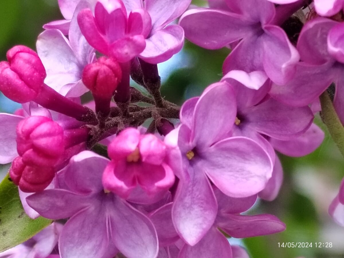 Фото автора канала. 