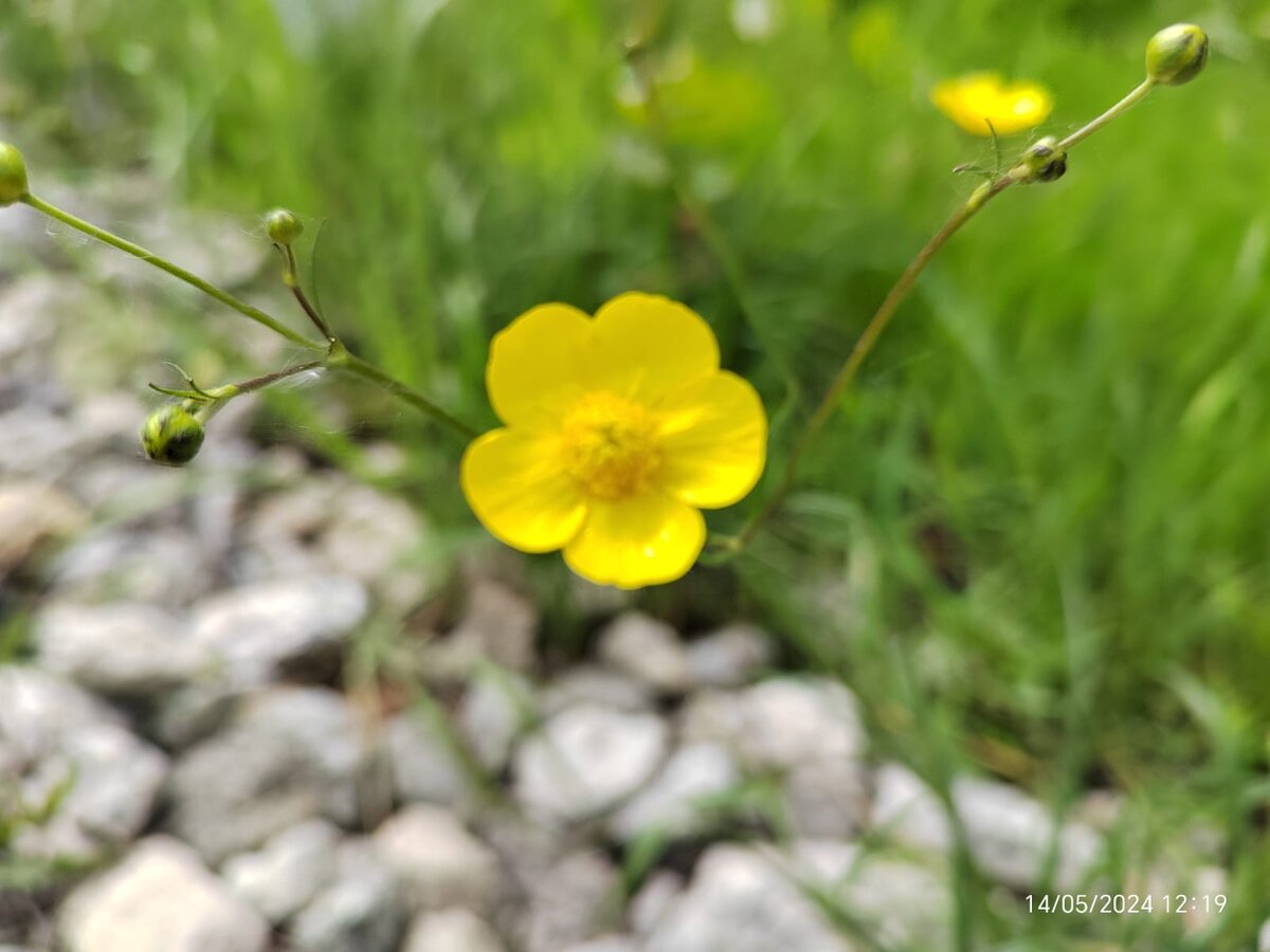 Фото автора канала. 