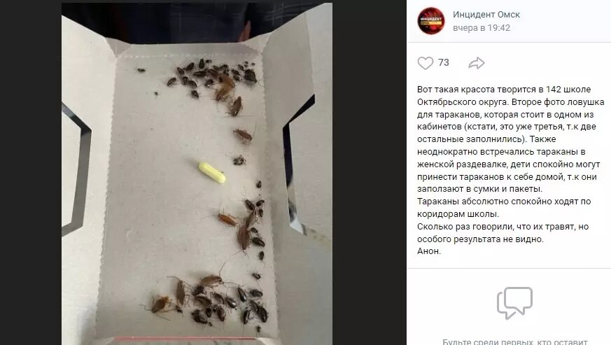     Автор: Скриншот Источник: Инцидент Омск