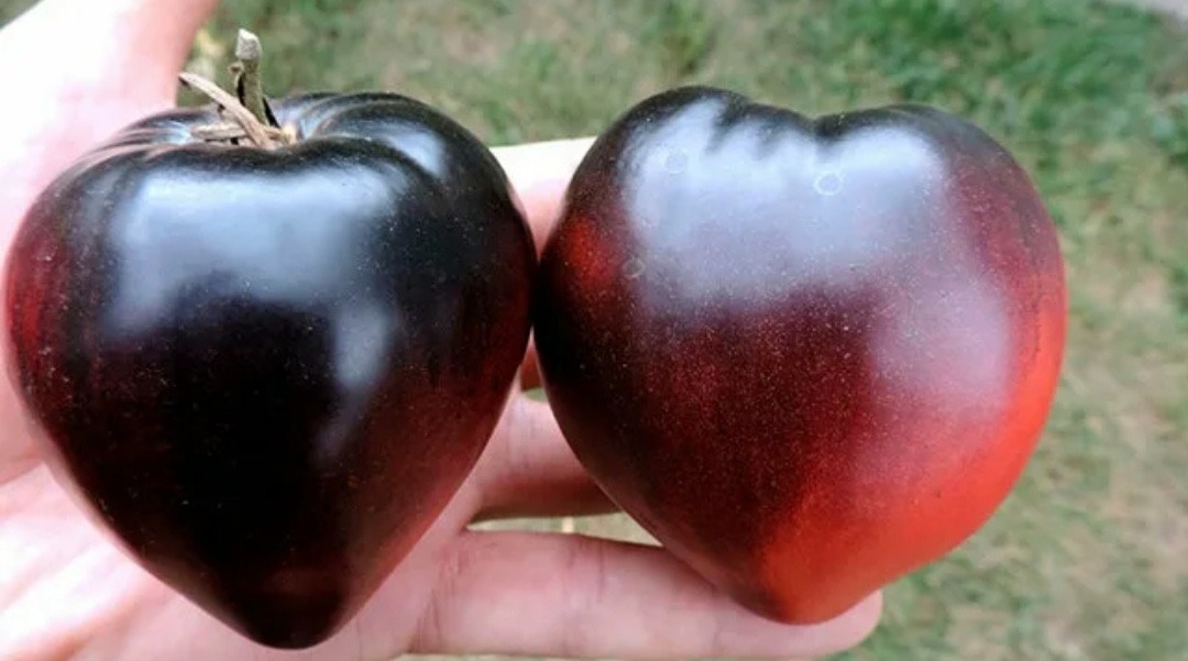 Это фото из открытооо доступа