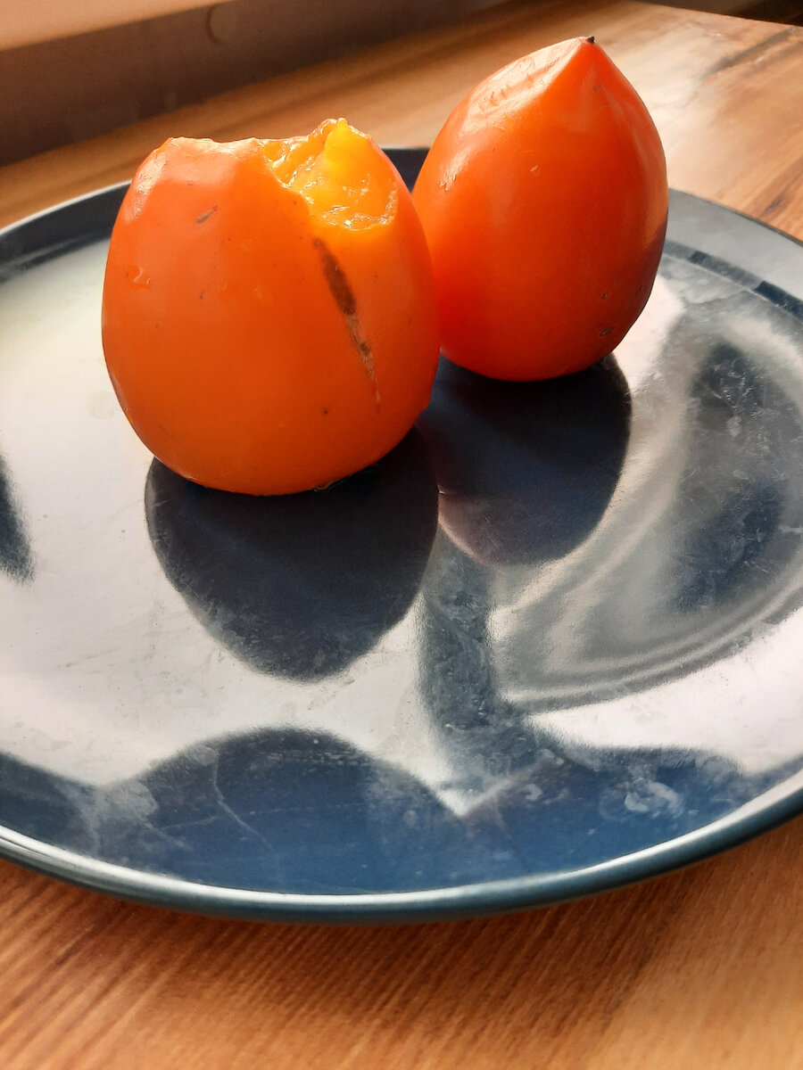 Санатории для пенсионеров-льготников