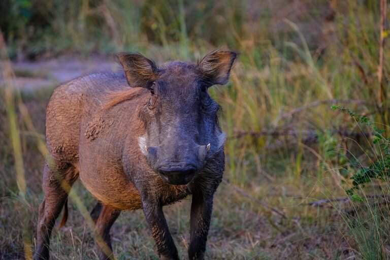    Фото: Pexels / Francesco Ungaro Игорь Бережной