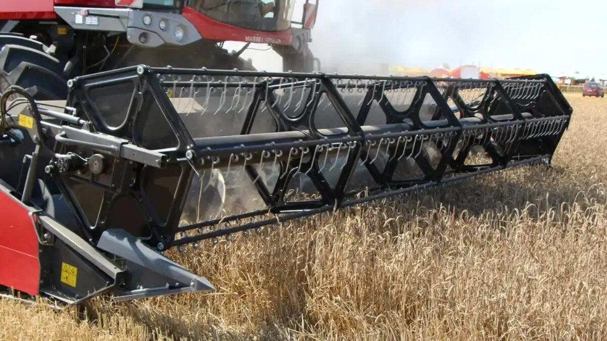  Фото: © Владимир Исаенко / Glavpahar.ru
Фотография носит иллюстративный характер