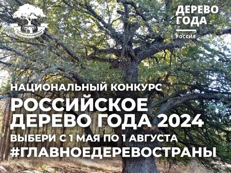     Фото: пресс-службы калужского правительства