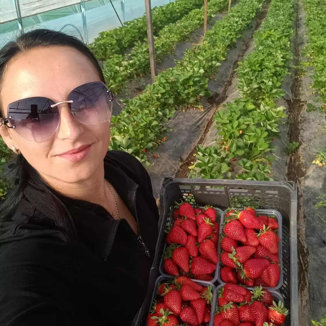     Автор: Оксана Фролова