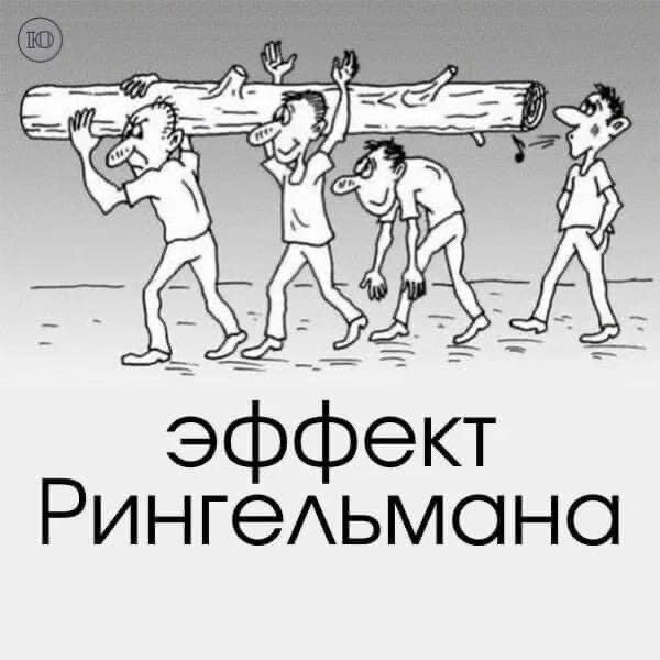 Фото из открытого источника