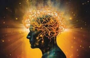 Фото из открытого источника