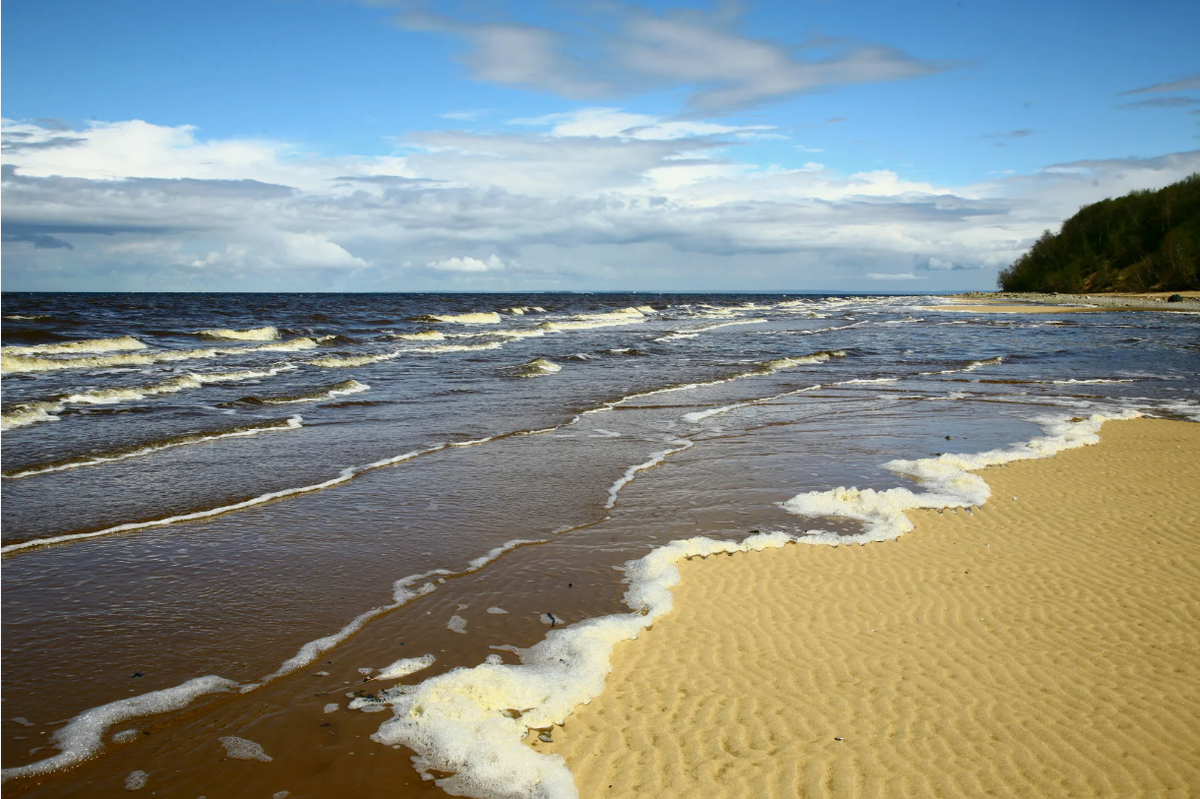 Белое море все. Архангельск берег белого моря. Берег белого моря Карелия. Северная Карелия берег белого моря. Онега пляжи на белом море.